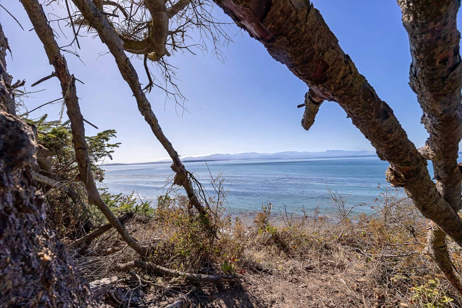 Views from the Bluff Trail in Fort Ebey