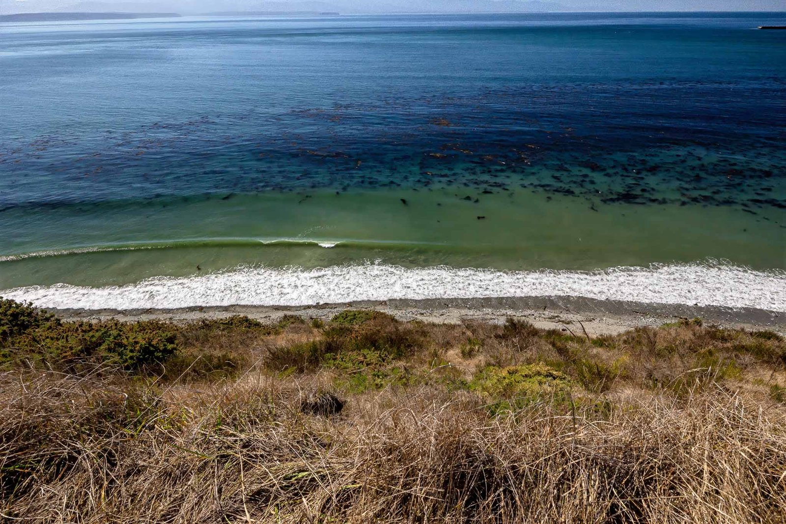 Views from the Bluff Trail in Fort Ebey