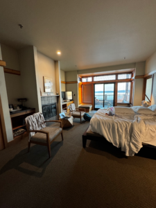 Main Bedroom looking out towards the balcony